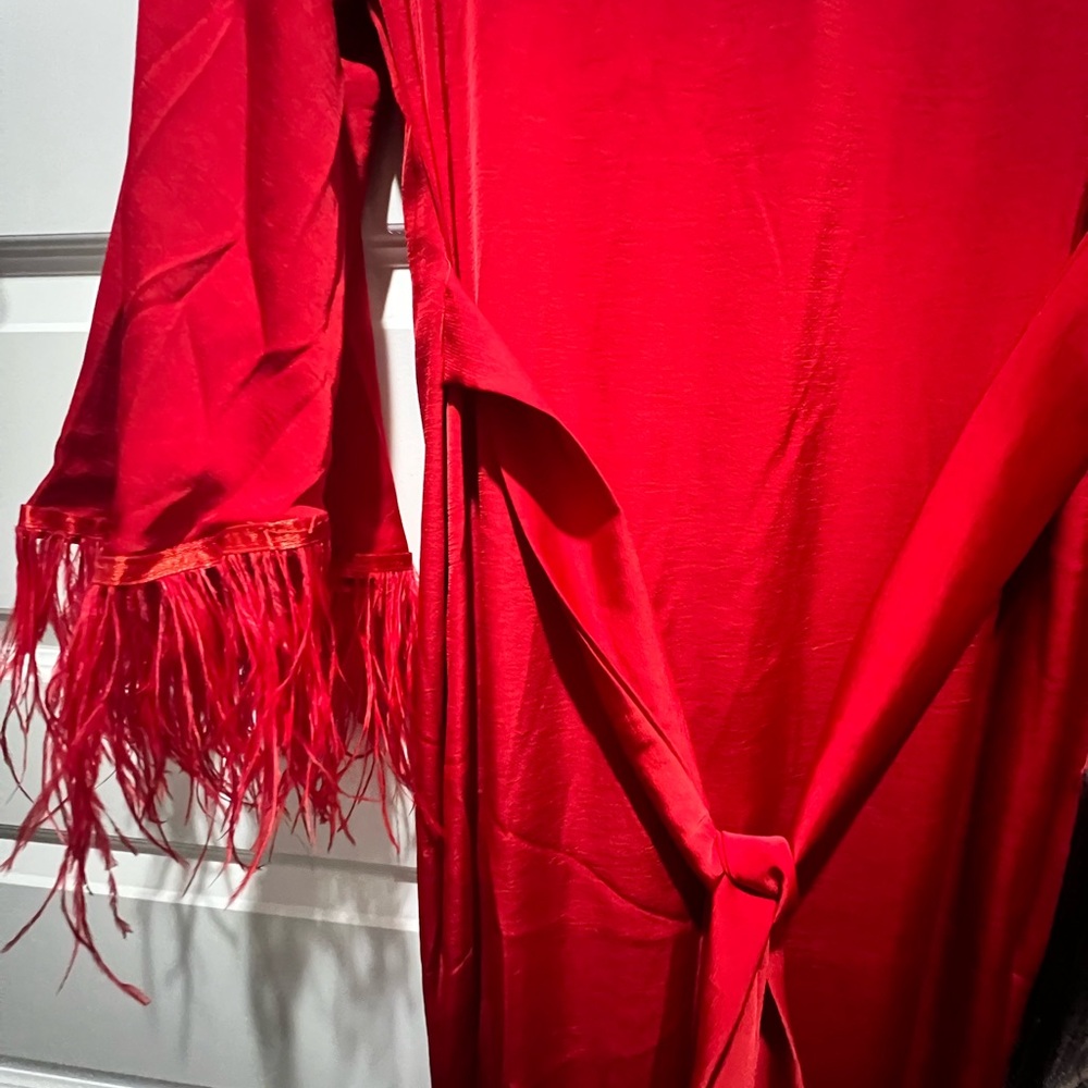 Red Feathered Sleeve Dress